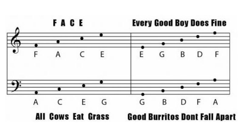 A Visual Guide to Musical Notation